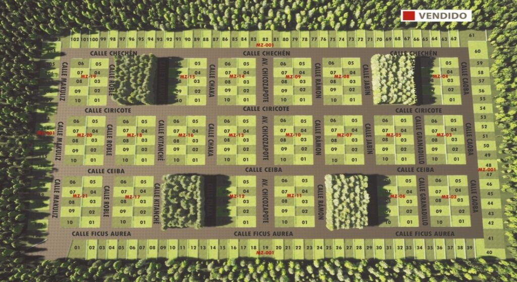 Master Plan La Selva Playa del Carmen