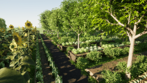 La Selva Playa del Carmen