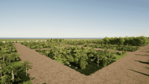 La Selva Playa del Carmen